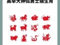 眼疾手快猜一生肖