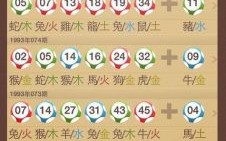 热门之肖中是什么生肖？热门之肖中打一准确生肖