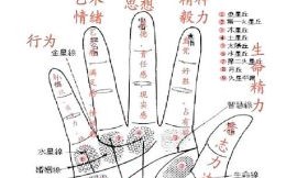 手相掌丘与纹路何者更关键为何不可随意观手相