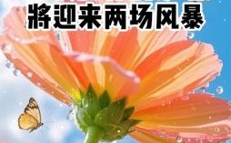 属虎的人坐北朝南的房屋好吗 属虎的购房十六禁忌