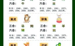 少三没四指什么生肖