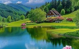 四面环水景秀美是什么生肖？山水美景是什么生肖