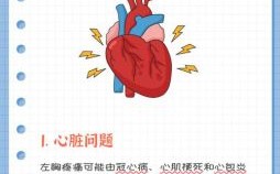 胸口疼痛部位对照表图解全集 胸口疼痛部位图解全集免费