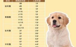 2025年属狗的人今年多大 属狗的全部年龄表