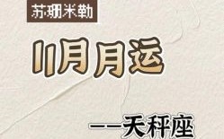 苏珊米勒2025年天秤座运势详解