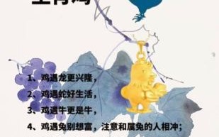 乡土不离何生肖