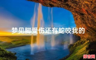 梦见被蛇咬脚梦见蛇咬住脚是什么含义