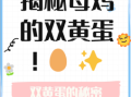 鸡在何时产双黄蛋