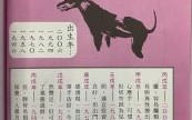 2006年属狗2025年运势全解 2006年属狗2025年考试运分析