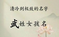 姓武女孩起什么名字 2026年属兔武姓女孩取名