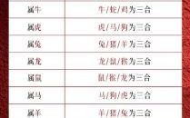 2025年属什么生肖 2025年属蛇运势犯太岁