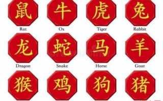 千红百艳猜生肖