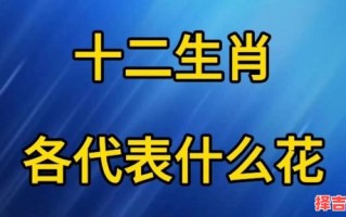 十二生肖分别是什么花？十二生肖对应哪种花