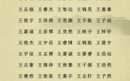 姓王狗宝宝名字 属狗的王姓女孩最吉利的名字
