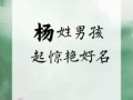 杨姓男孩名字一览