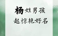 杨姓男孩名字一览