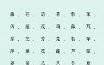 草字头女孩名字大全集免费 草字头女孩取名字有哪些字