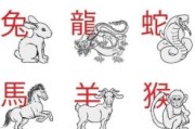走漏风声指什么生肖 走漏风声指什么生肖的动物