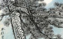 赤子望月圆是什么生肖？举头望明月是什么生肖