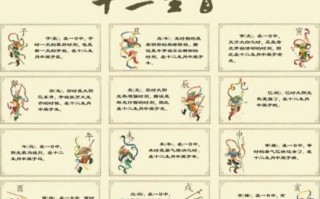 十二生肖的代号是什么？十二生肖全部代号总汇