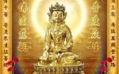 金粟如来的生肖是什么？金粟如来是后身指什么生肖