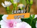 天秤座守护宝石是什么天秤座最畏惧什么星座