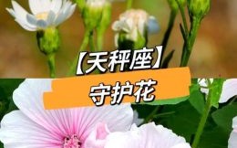 天秤座守护宝石是什么天秤座最畏惧什么星座