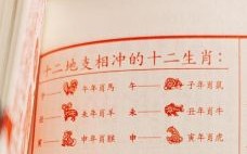 属鸡2025年开工吉日查询 属鸡2025年开业吉日查询