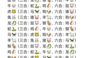 属羊的适合在哪个方位，属兔和哪个属相最配