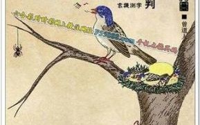 贫秧苦根猜一肖