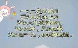 冬九寒天猜一精准生肖