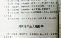 学富五车准确猜一生肖 学富五车精准生肖答案唯一