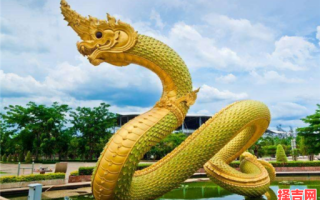 龙头蛇尾打一生肖