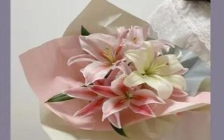 414情人节寓意解析 414恋爱暗号含义解读