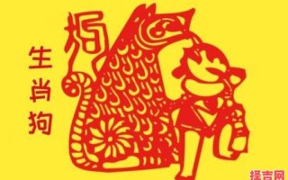 心定不移猜一生肖
