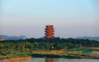 镜中花水中月猜动物