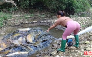 女子梦见捞着许多鱼，女子梦见水中捉鱼