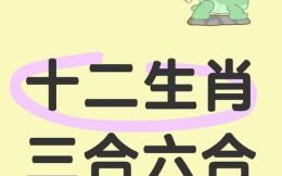 三七连连是什么生肖？三七配九连连中打一生肖