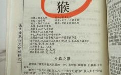1992年属猴2025年每月运势女性