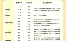 1999年属兔人最适合结婚年龄段