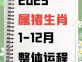 1971年生肖猪2025年运势详解 54岁属猪者蛇年每月运程