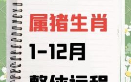 1971年生肖猪2025年运势详解 54岁属猪者蛇年每月运程