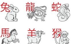 十二生肖最不干净的动物是什么生肖？十二生肖哪个动物最脏