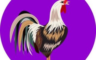 最有朝气的动物是什么生肖？有朝气动物谁是第一名