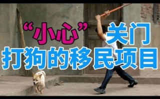 关上门打狗是什么生肖？关门打狗12生肖中指什么动物