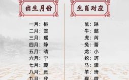 带法字优雅名字大全 带法字的女孩名字