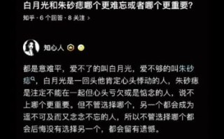 白月光与朱砂痣所指何意
