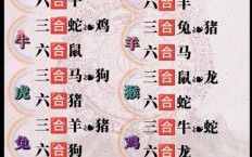 七星缠月是什么生肖？七星图是什么生肖呢