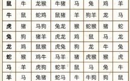 男羊女牛是否相冲属牛和属羊是否相冲