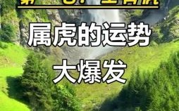 属虎2025年开工最佳吉日查询 属虎2025年建房动土吉利日子